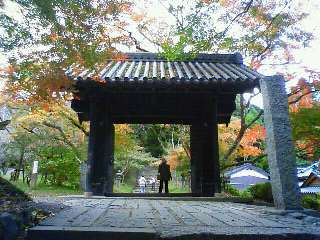 秋月ブログ 桜 紅葉 見どころ 名所情報 秋月紅葉情報