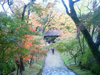 秋月ブログ 桜 紅葉 見どころ 名所情報 秋月紅葉情報